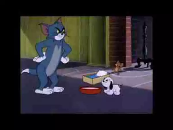 Video: Tom and Jerry, 80 Episode - Puppy Tale (1954)